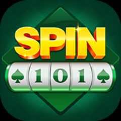 Image for SPIN 101
